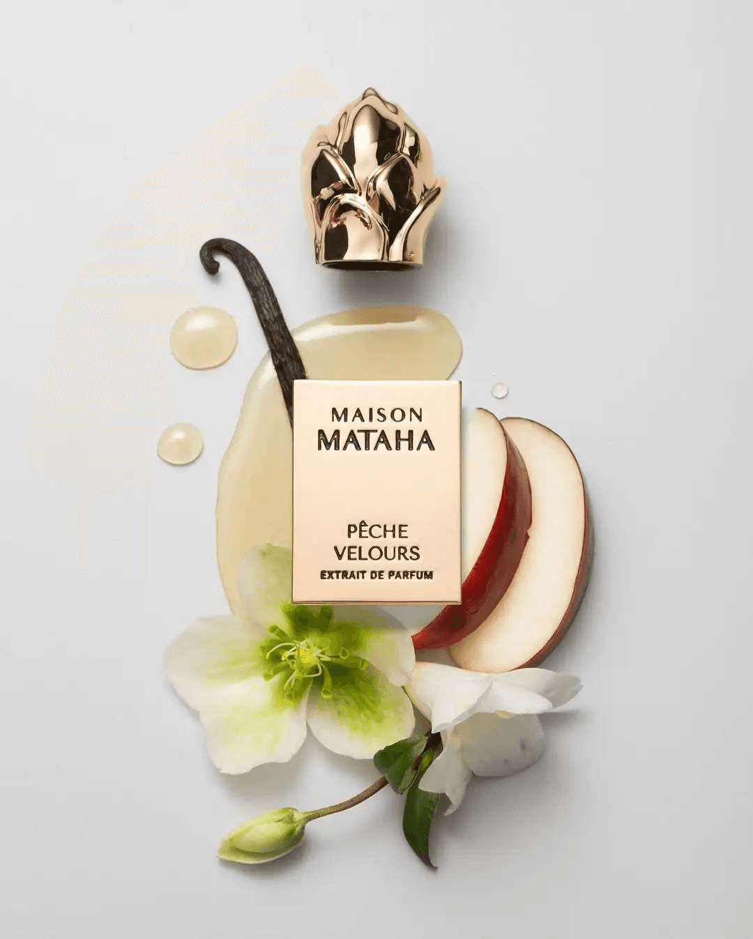 Maison Mataha - Pêche Velours 3