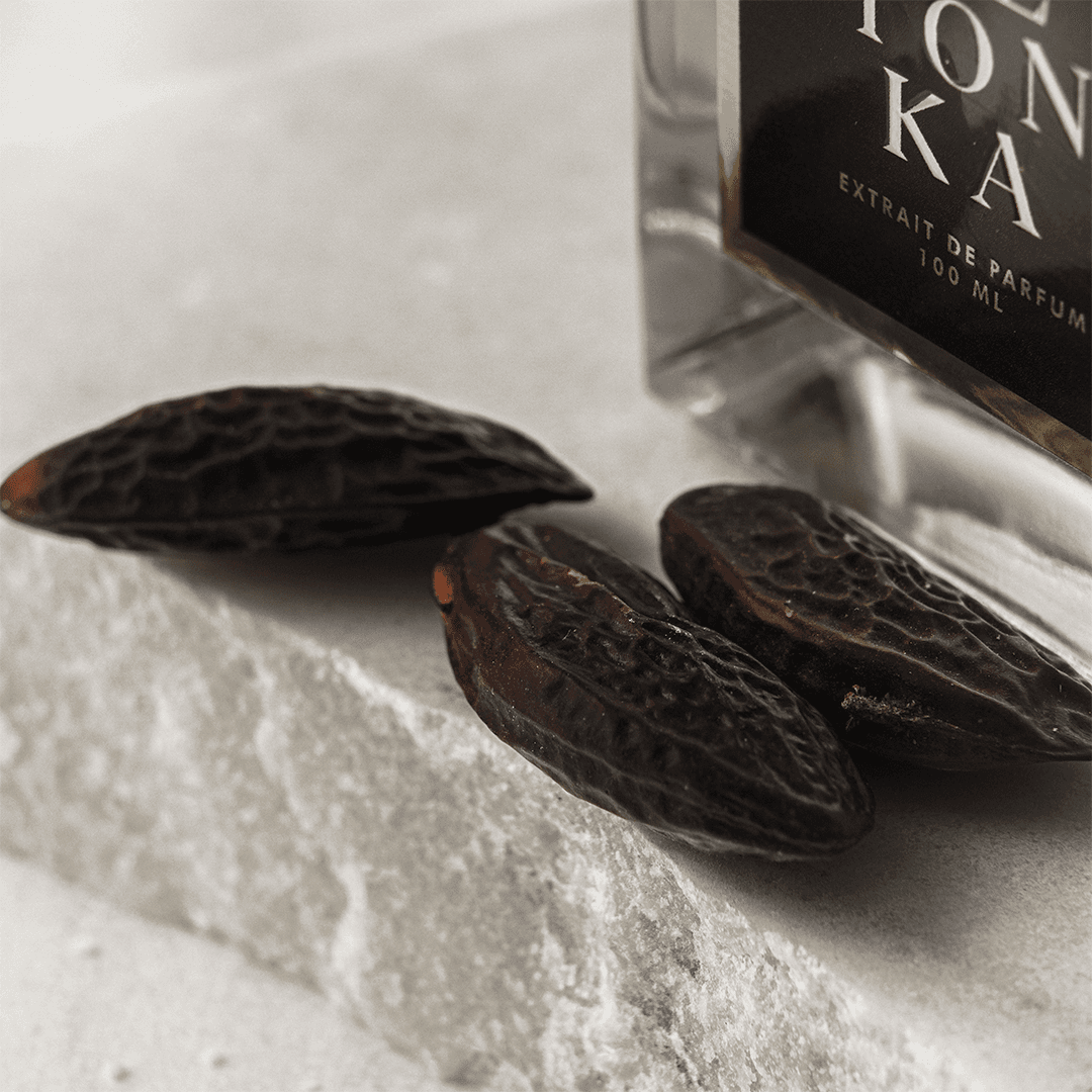 Maison Berliner - Pomme Tonka 3