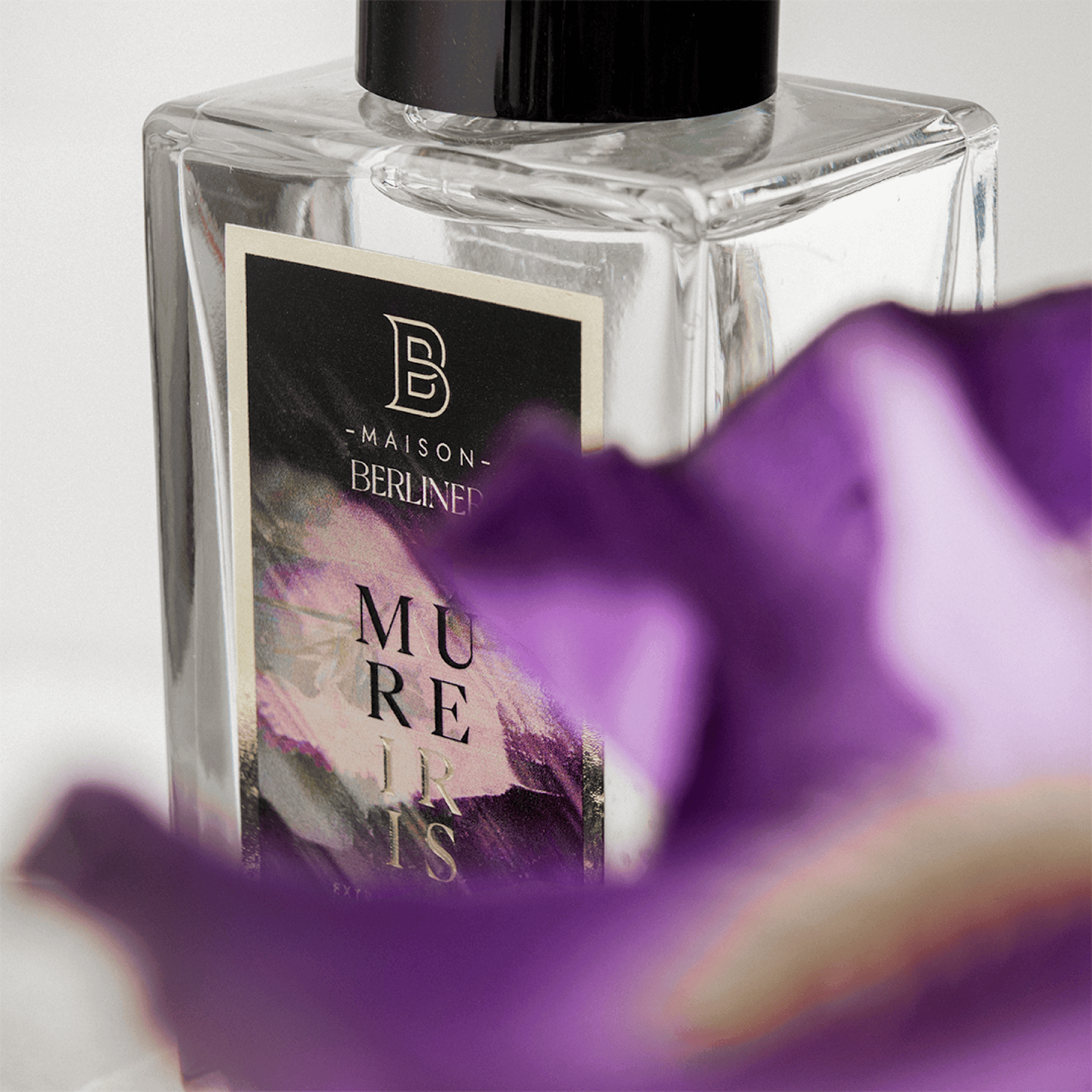 Maison Berliner - Mûre Iris 3